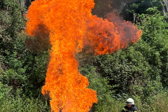 20230830_173352000_iOS-1